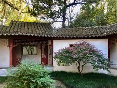 -秋霞圃