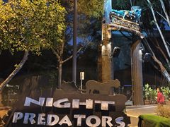 -清迈夜间动物园