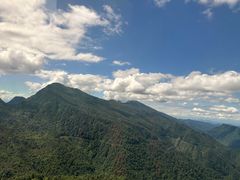 -瓦屋山景区