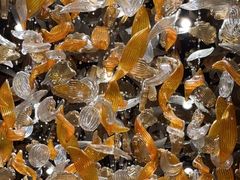 -东海朗廷酒店-唐阁T’ANG COURT 中餐厅