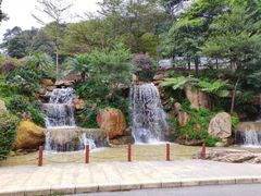 -广州市帽峰山景区