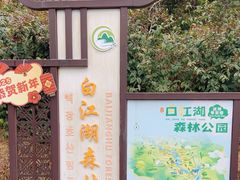 -广州白江湖森林公园