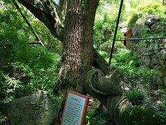 -绮园景区