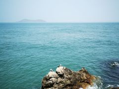 -摩天岭风景区