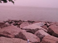 -深圳湾公园(南山区)