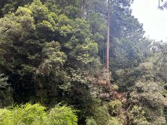 -苍山感通索道