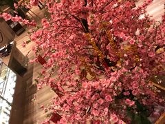 -视界美食自助餐厅·石家庄希尔顿酒店