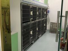 -汪喵宠物医院·骨科心脏影像·犬猫急重症ICU诊疗中心(成华分院)