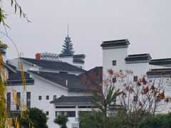 -八大山人梅湖景区