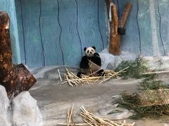 -海南热带野生动植物园