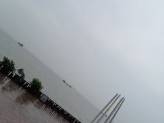 -上海滨江森林公园