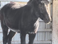 -元鼎宝驴香·全驴宴(江宁店)