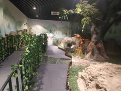 -六合国家地质公园桂子山景区