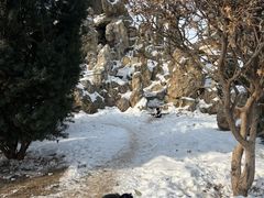 -张学良旧居陈列馆