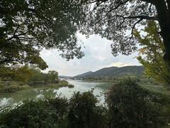 -长广溪湿地公园