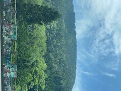 -武陵山森林公园