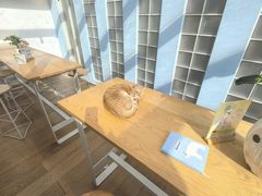 -猫的天空之城概念书店(苏州平江店)