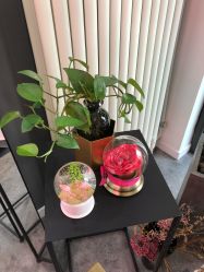 大堂-Priscilla皮肤管理中心