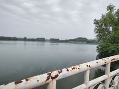 -大兴滨河森林公园