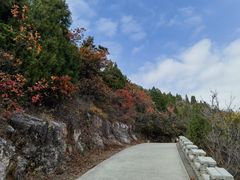 -府君山公园