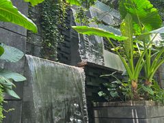 -樟宜机场免税店
