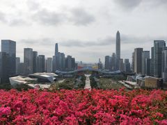 -大梅沙海滨公园