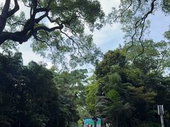 -九龙公园