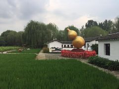 -溱湖国家湿地公园