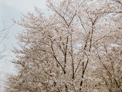 -柯达真美(老重庆中路店)