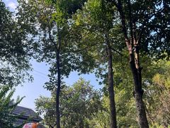 -融汇温泉