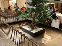 大堂-十二粤味·顺德菜·烧鹅点心(五四广场店)