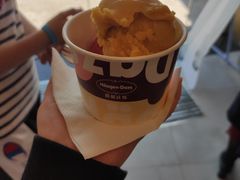 -哈根达斯(深圳海岸城店)