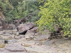 -广州白江湖森林公园