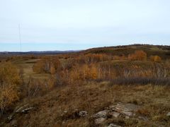 -塞罕坝国家级自然保护区