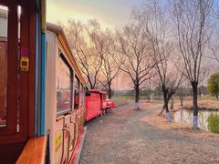 -祥源·阜阳生态乐园