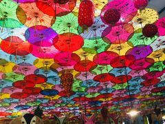 -呀路古热带植物园