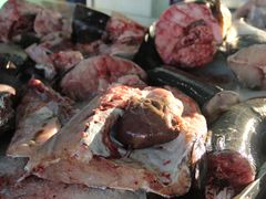 -清水湾3号(东方小周海鲜店)