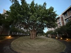 -厦门国家会计学院