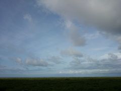 -北海金海湾红树林生态旅游区