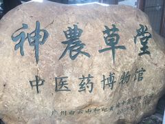 -广州神农草堂中医药博物馆