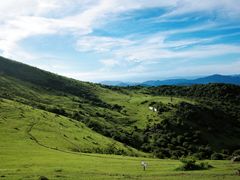 -大姆山草场
