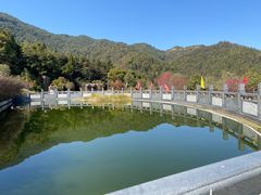 -梅州瑞山生态旅游度假村