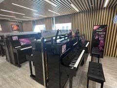 -雅马哈乐器专卖店(广州旗舰店)