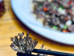 猫爪菇炒牛肉-下梅人家土菜馆(历史文化餐厅度假区店)