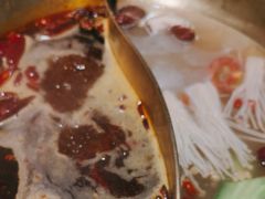 -小龙坎火锅(总店)