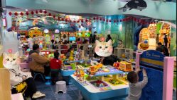 -万达宝贝王(成都锦华店)