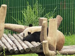 -沈阳森林动物园