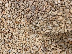 -MELAND(郑州万象城店)