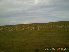 android_upload_pic-五角枫生态旅游景区