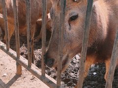 -无锡动物园·太湖欢乐园